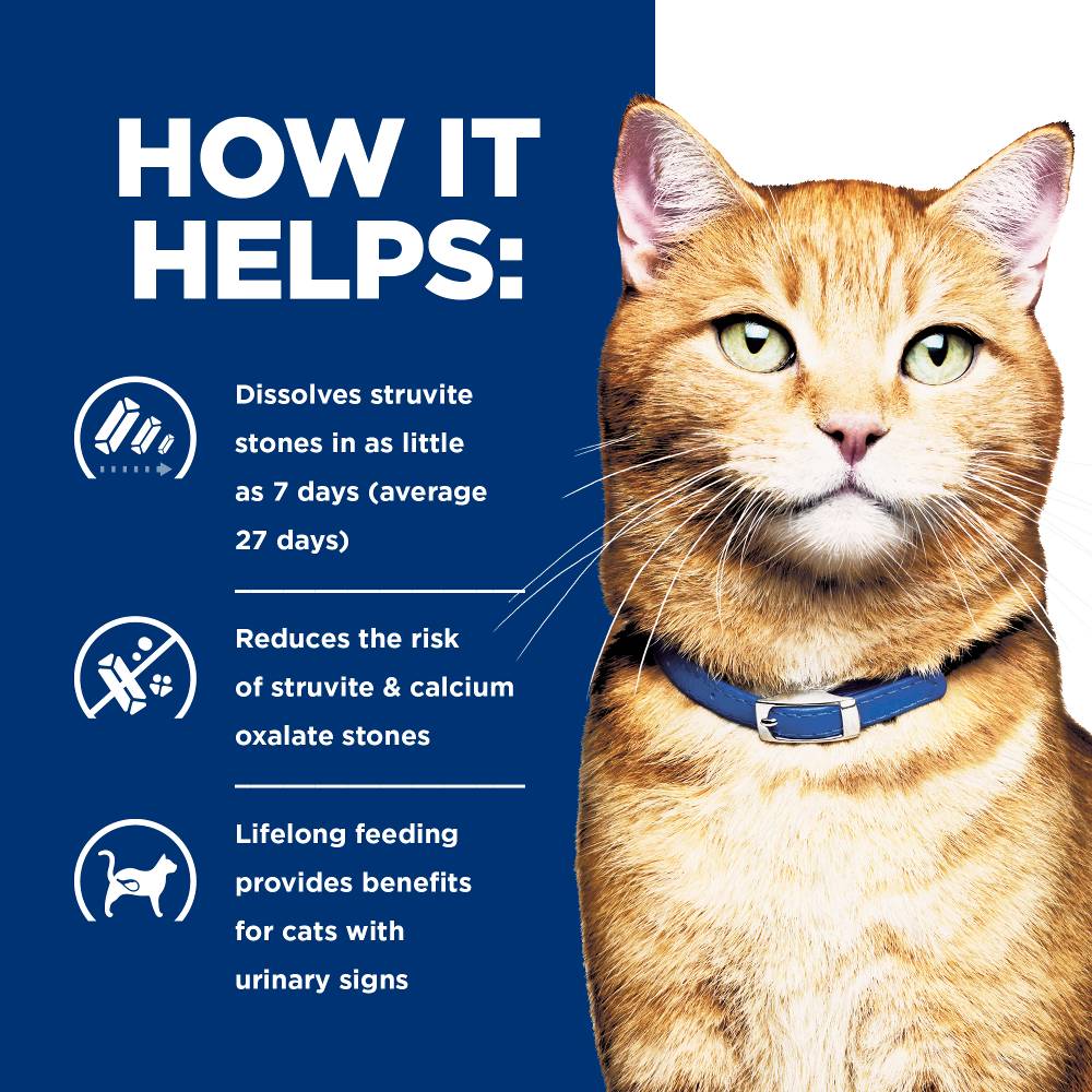 Hills Prescription Diet c/d Multicare Urinary Care Salmon Cat Food Pouches