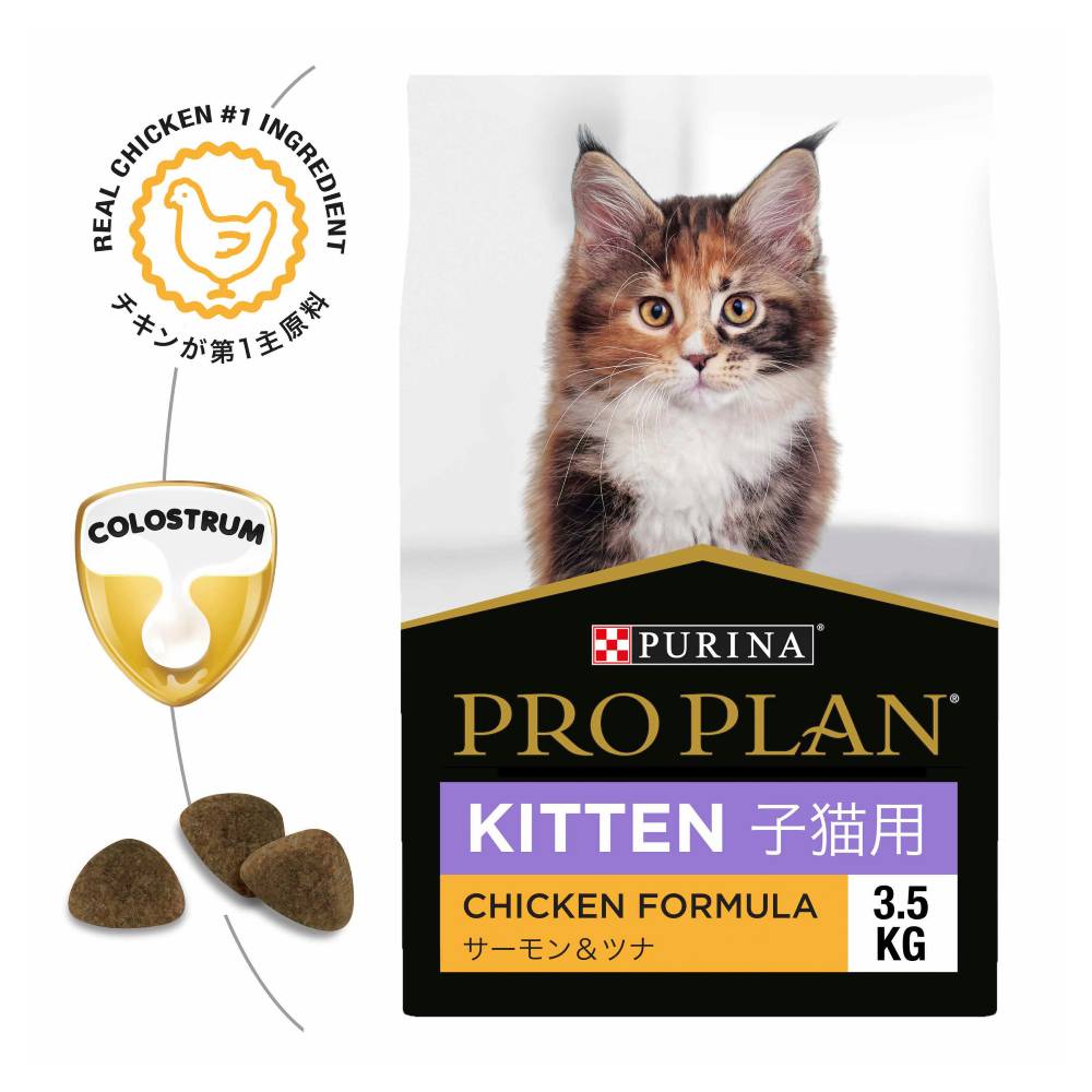 Pro Plan Kitten