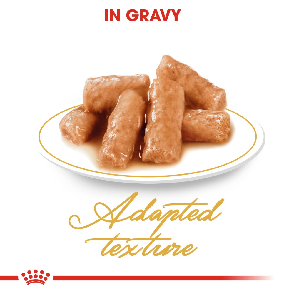 Royal Canin Adult British Shorthair in Gravy