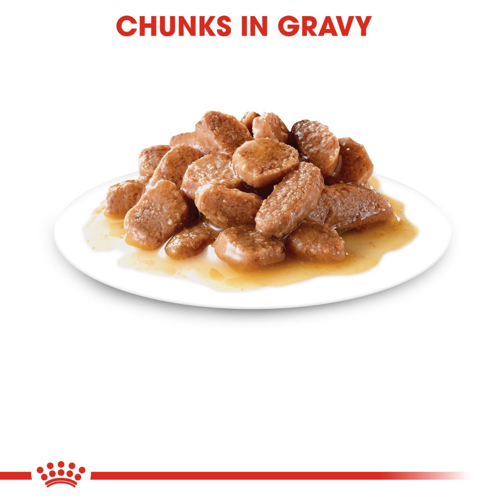 Royal Canin Adult Light Weight Care in Gravy