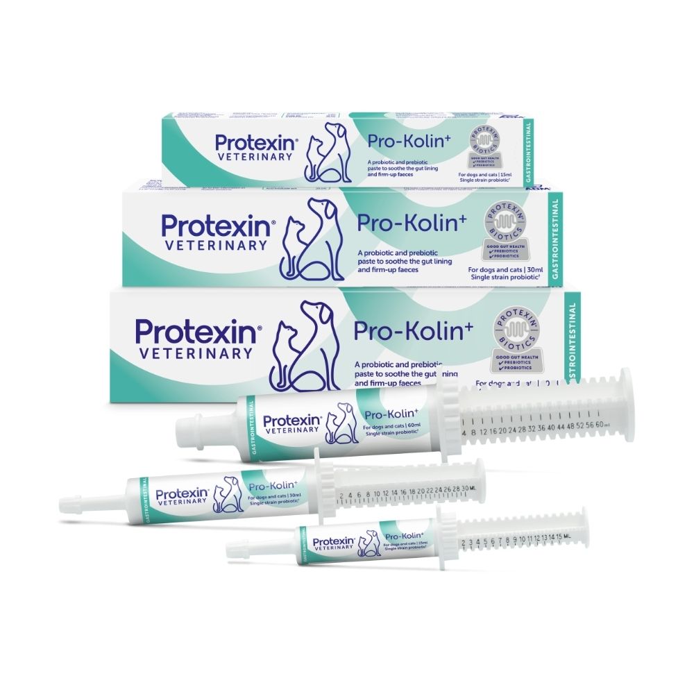 Pro-Kolin+ Probiotic and Prebiotic Paste for Dogs & Cats