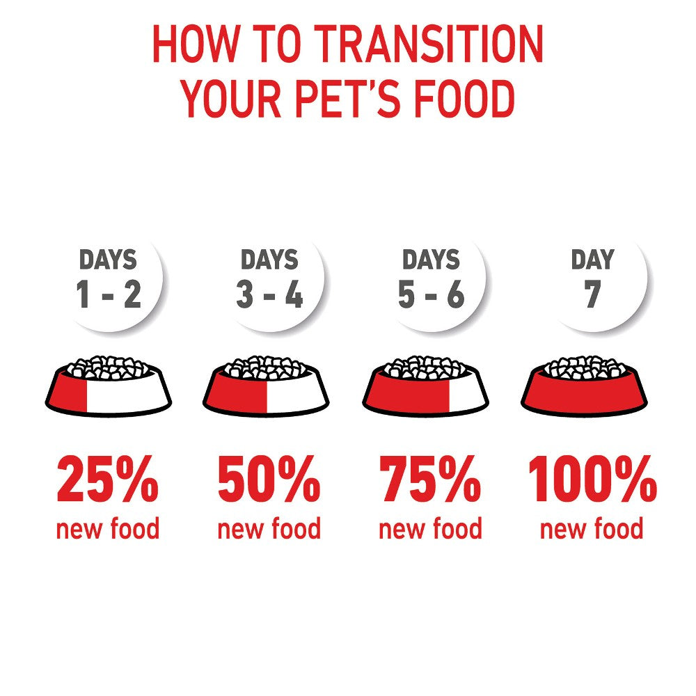 Royal Canin Kitten