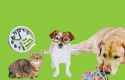 Budget-Friendly Tips for Aussie Pet Owners