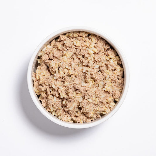 The Complete Guide to Dog Food Benefits