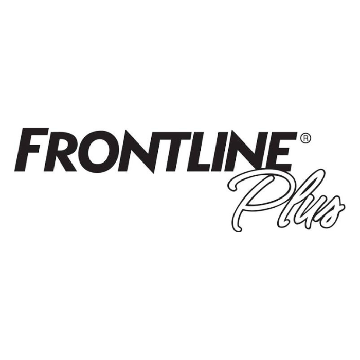 Frontline