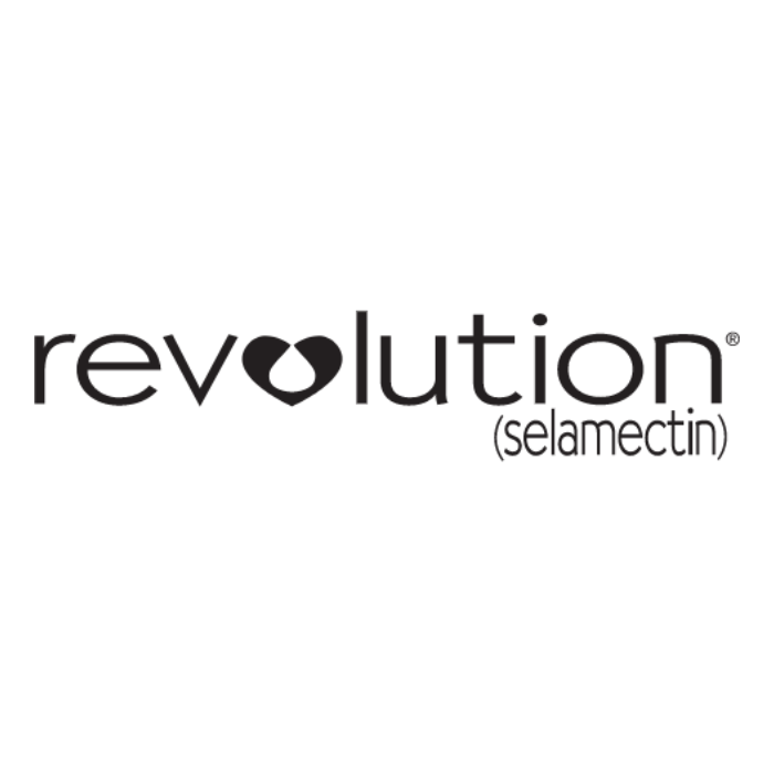 Revolution