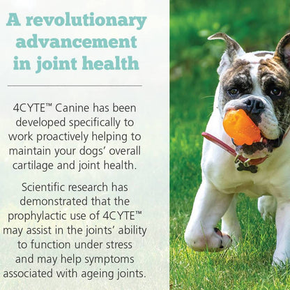 4Cyte Canine Joint Supplement
