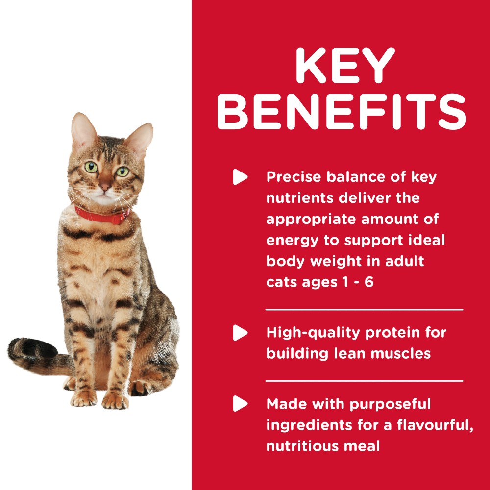 Hills Science Diet Adult Cat Healthy Cuisine Chicken and Rice Medley Canned Food