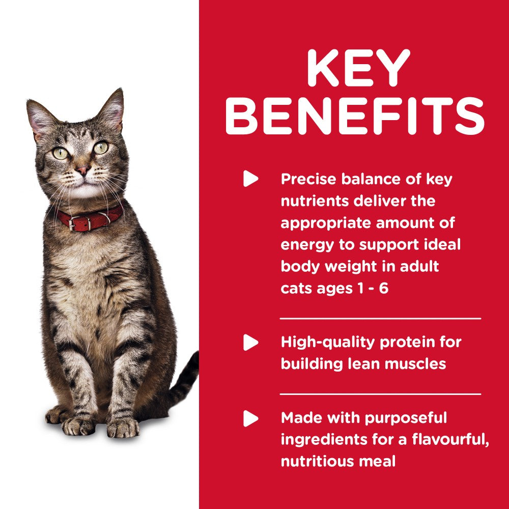 Hills Science Diet Adult Cat Tender Chicken Dinner Canned Food