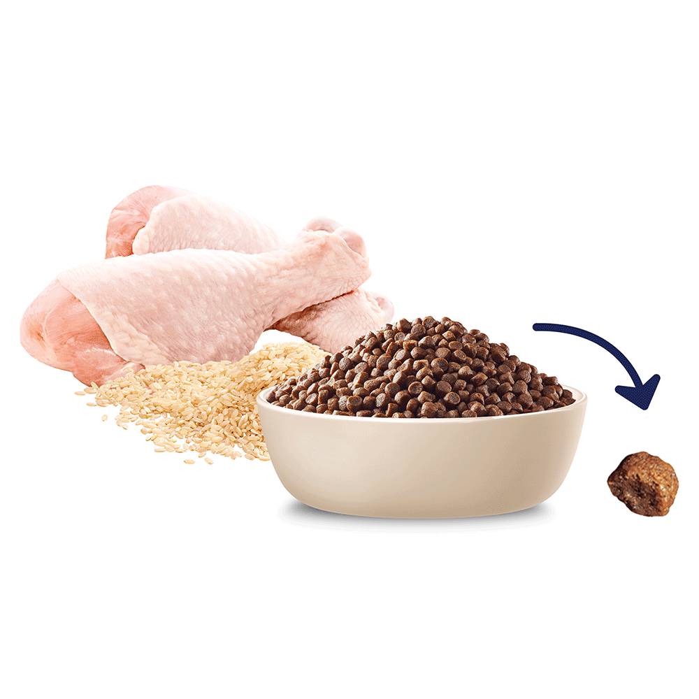 Advance Puppy Small Breed Rehydratable