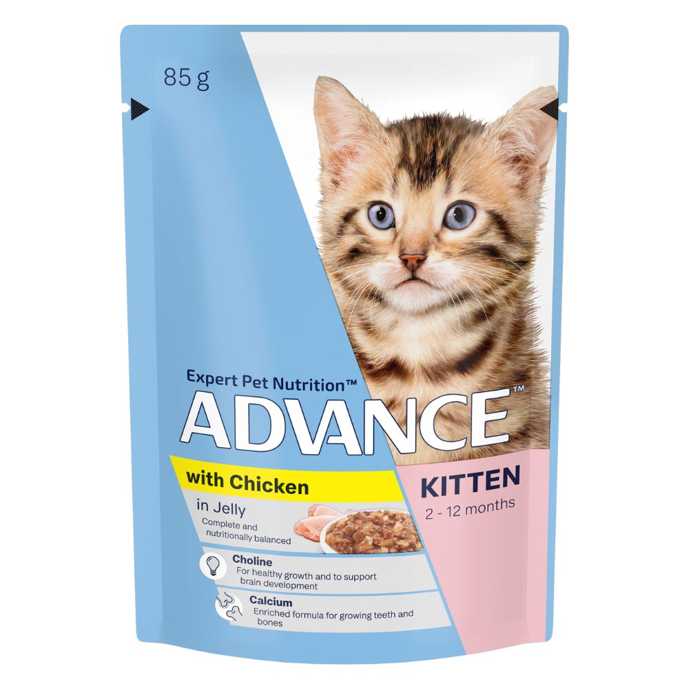 Advance Kitten Chicken in Jelly