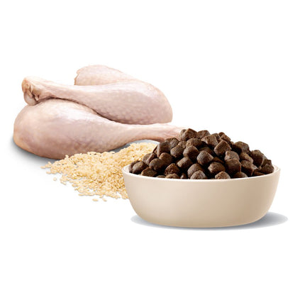 Advance Adult Medium Terrier Turkey