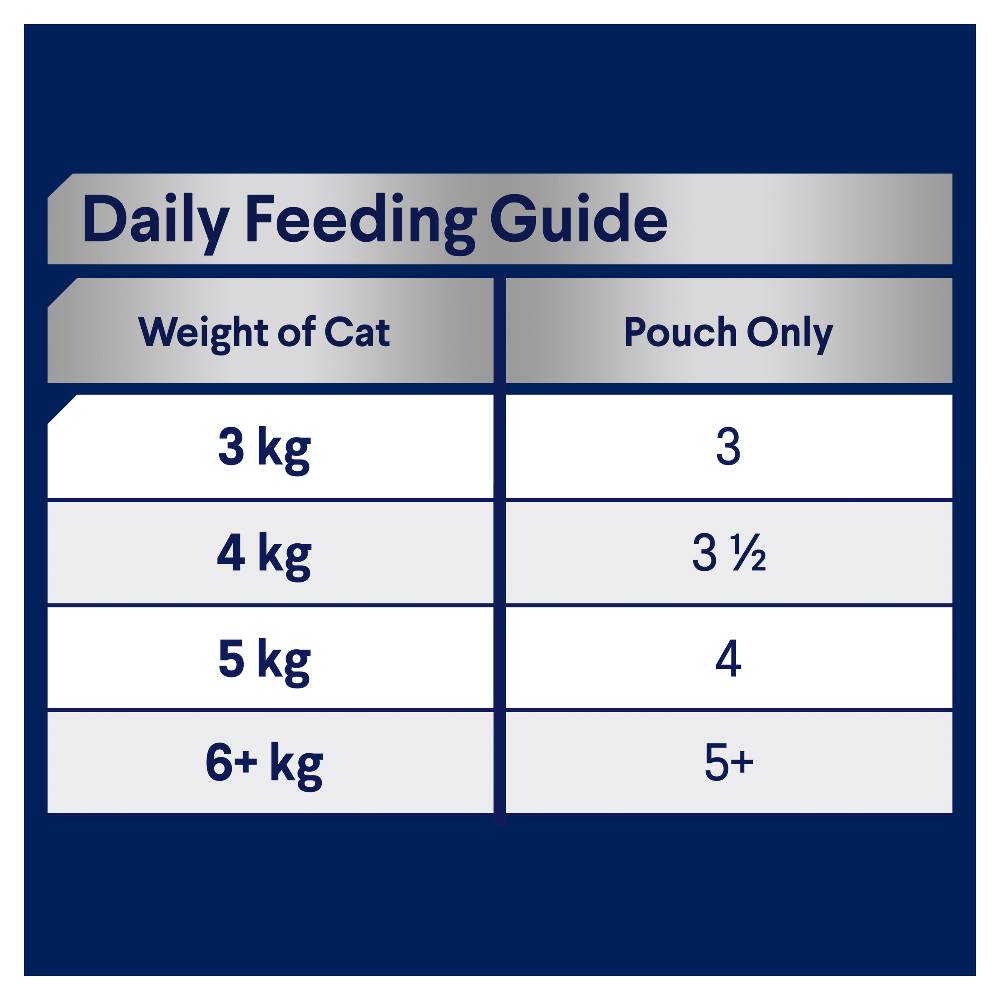 Advance Adult Ocean Fish in Jelly
