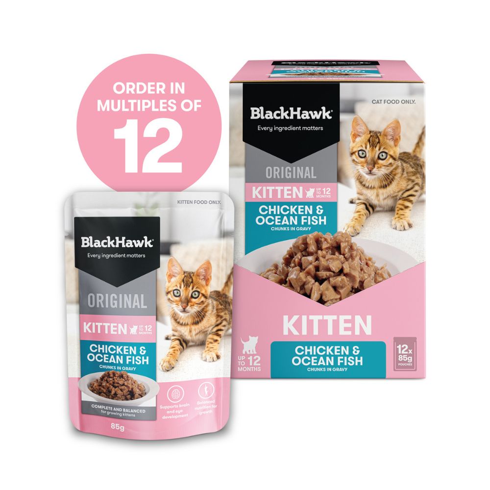 Black Hawk Kitten Chicken and Oceanfish in Gravy Pouches
