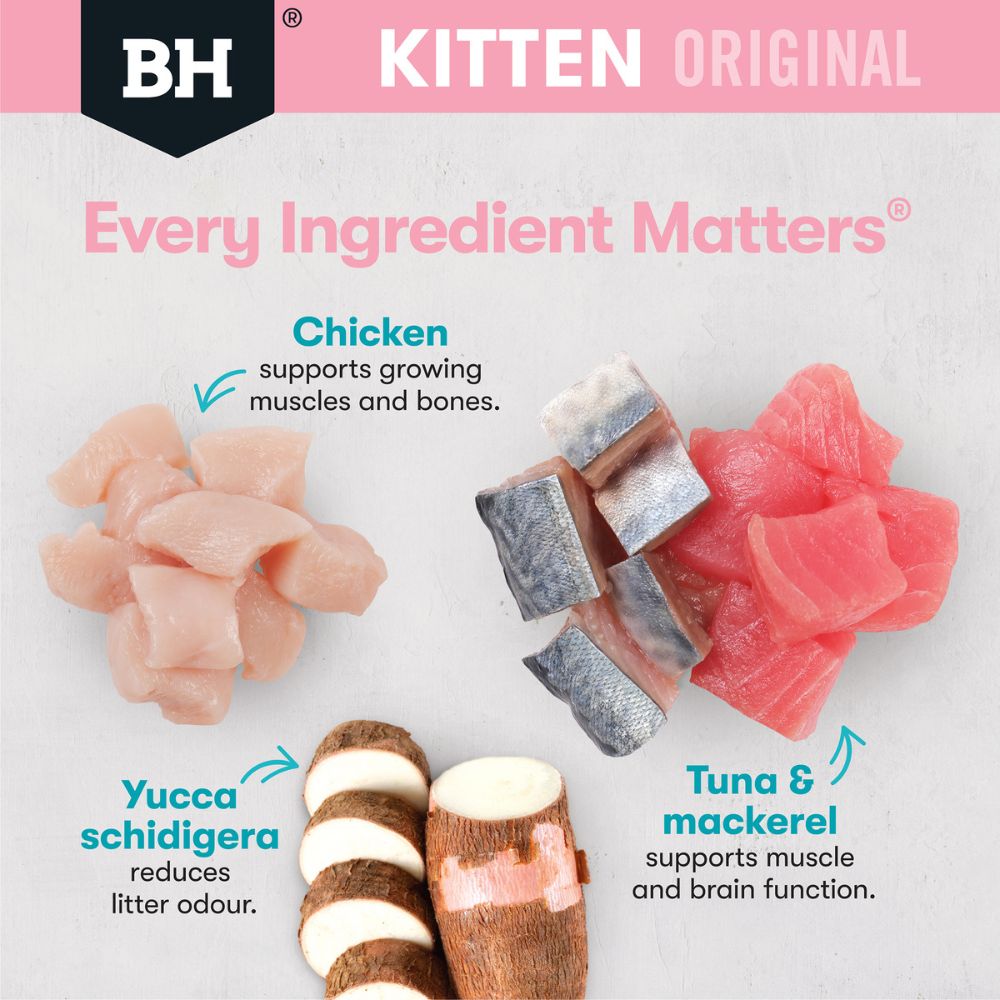 Black Hawk Kitten Chicken and Oceanfish in Gravy Pouches