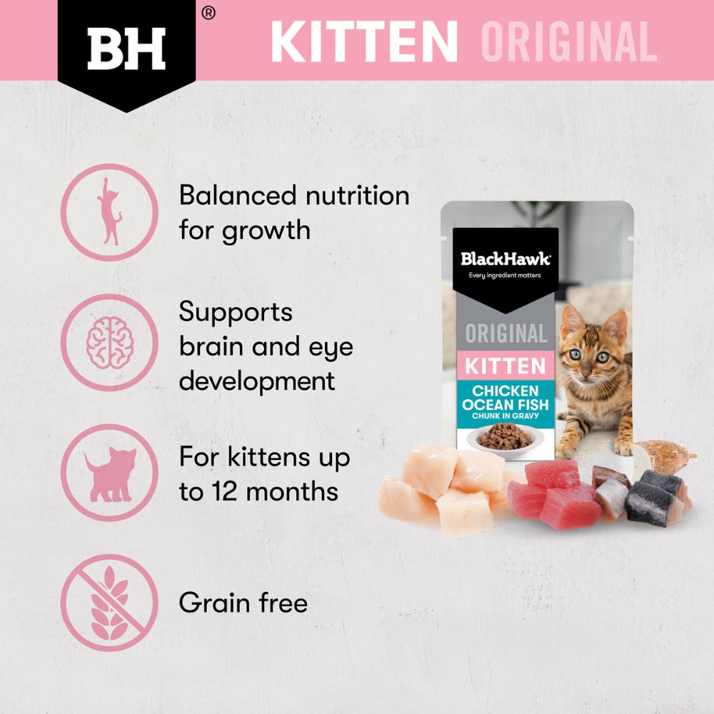 Black Hawk Kitten Chicken and Oceanfish in Gravy Pouches