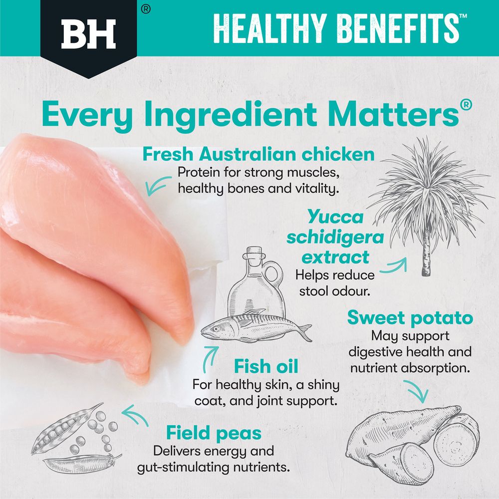 Black Hawk Dog Food Healthy Benefits Sensitive Skin and Gut