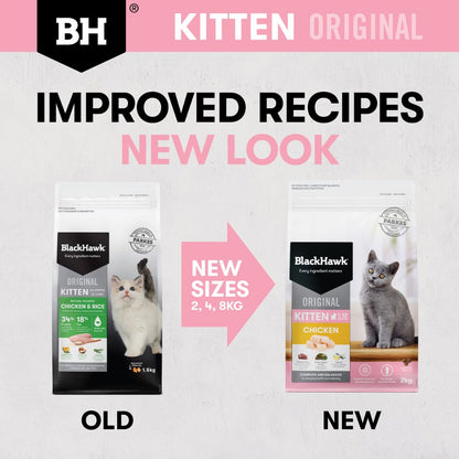 Black Hawk Kitten Chicken