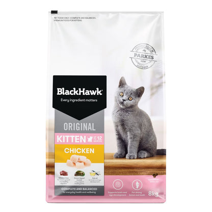 Black Hawk Kitten Chicken