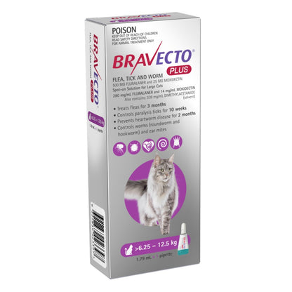Bravecto Plus Large Cats 6.25-12.5kg Purple