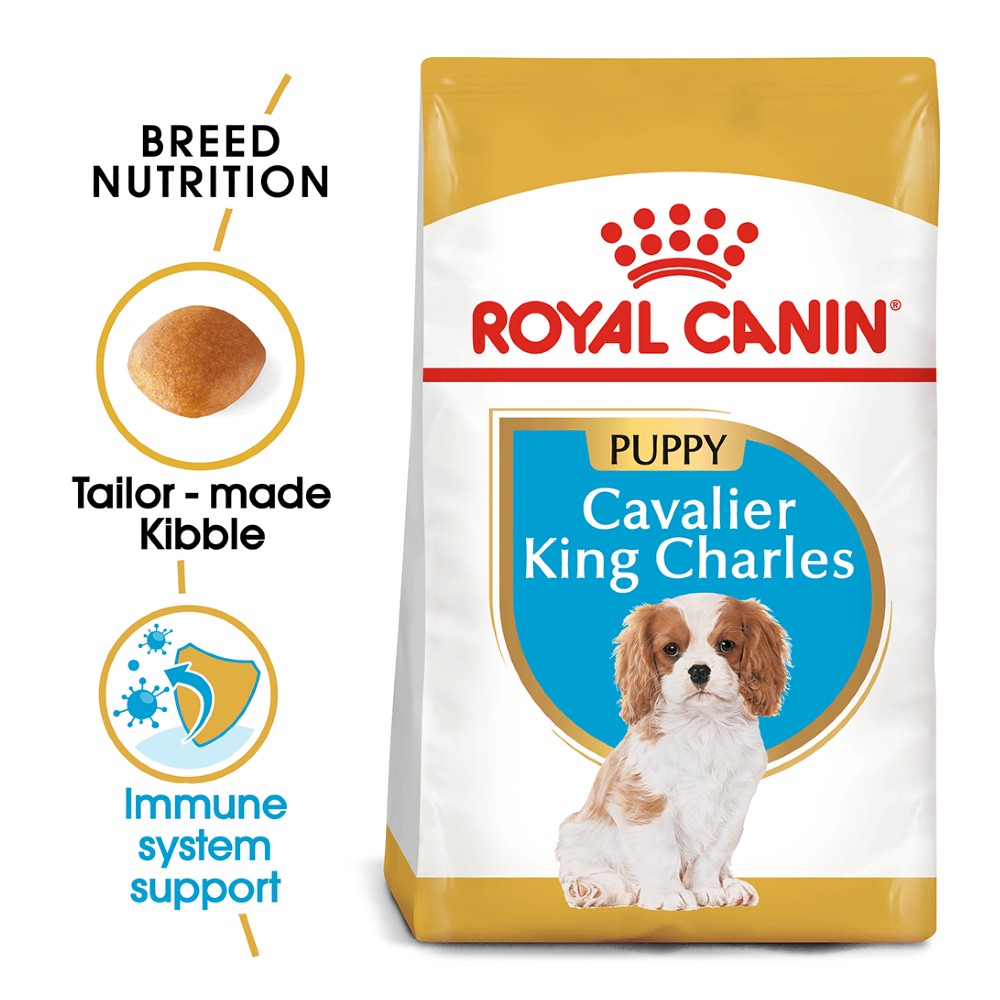 Royal Canin Cavalier King Charles Puppy