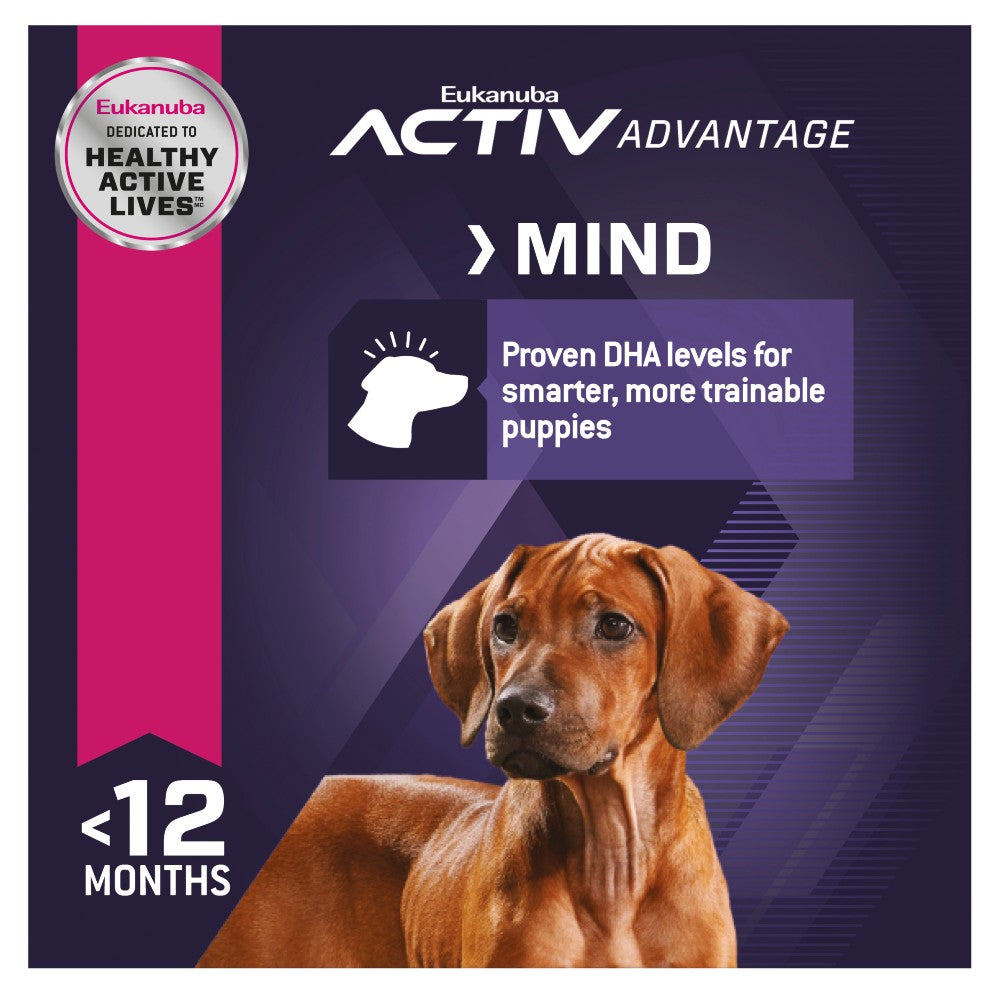 Eukanuba Puppy Large Breed