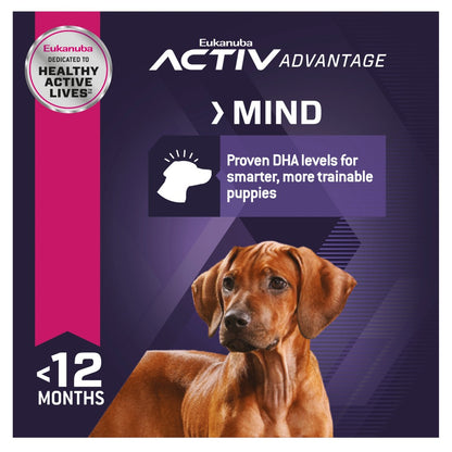 Eukanuba Puppy Large Breed