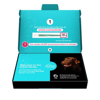 GenoPet 5.0 Dog DNA Test Kit