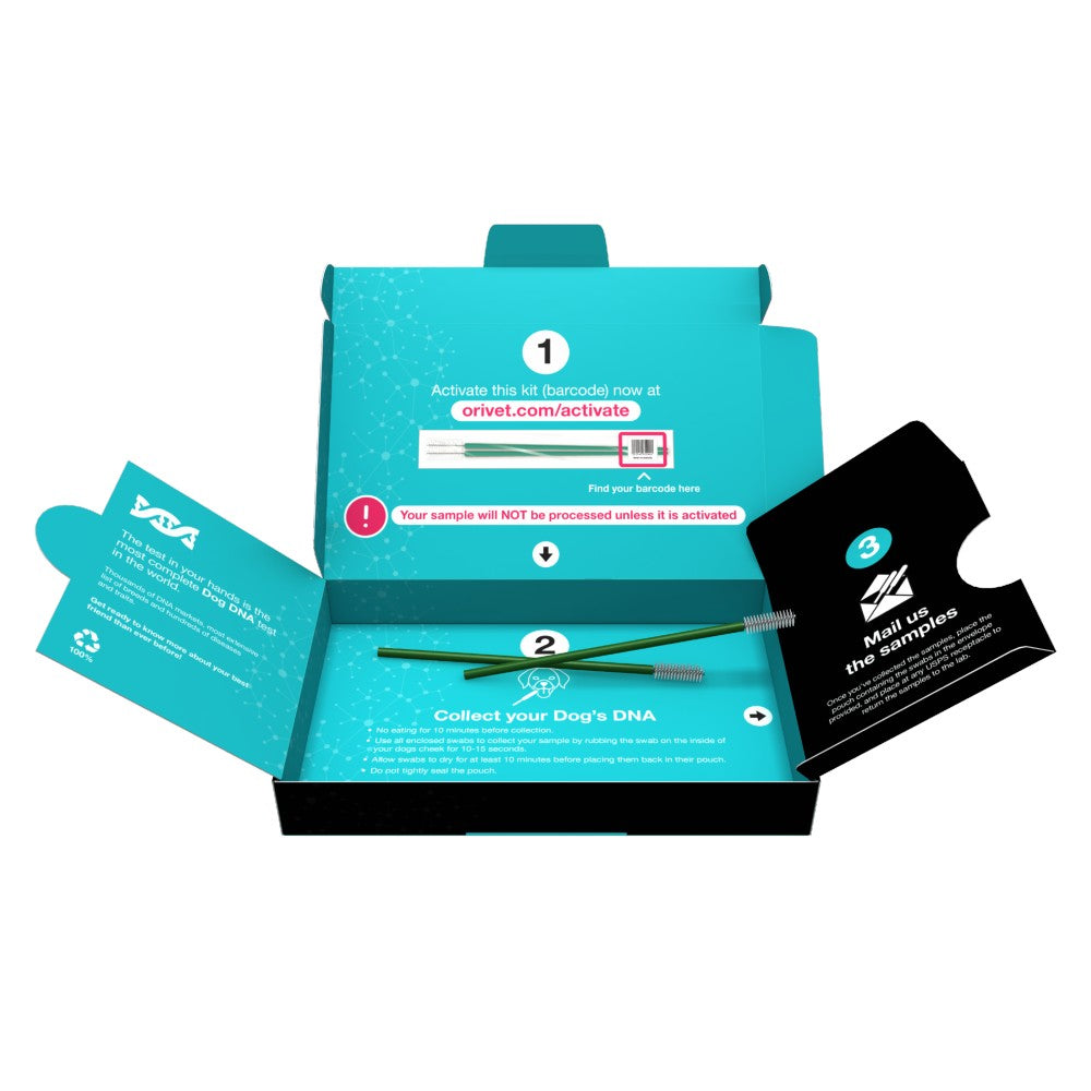 GenoPet 5.0 Dog DNA Test Kit