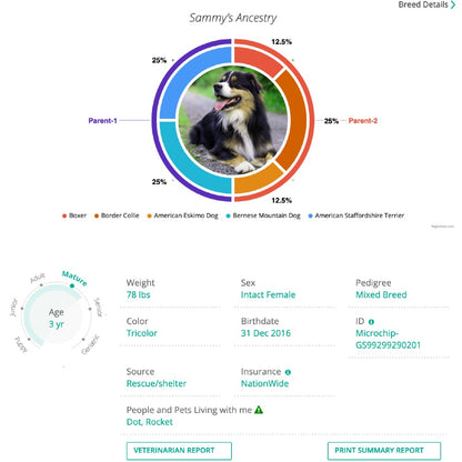 GenoPet 5.0 Dog DNA Test Kit