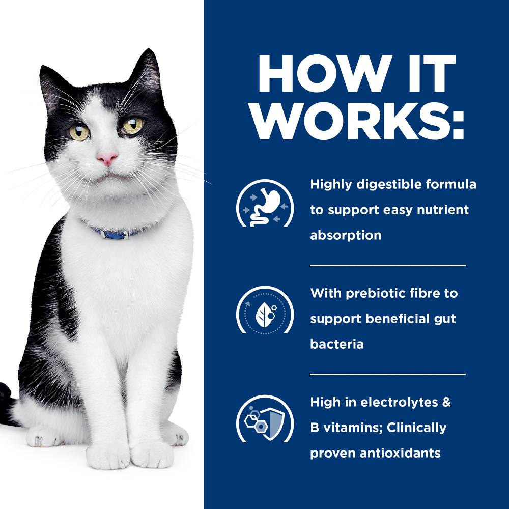Hills Prescription Diet i/d Digestive Care Dry Cat Food