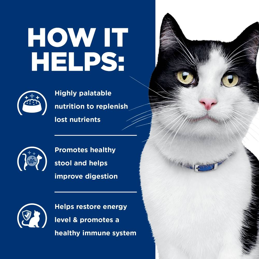 Hills Prescription Diet i/d Digestive Care Canned Cat Food