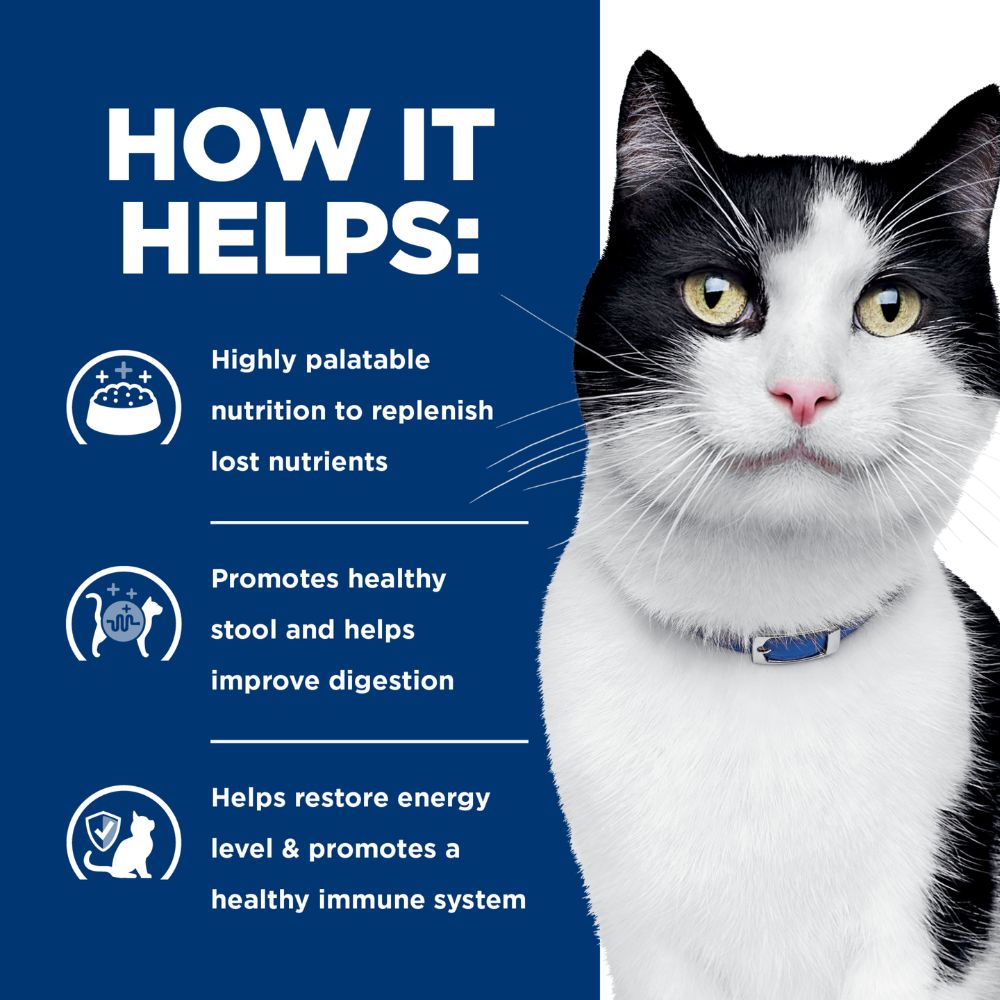 Hills Prescription Diet i/d Digestive Care Chicken Vegetable Stew Canned Cat Food