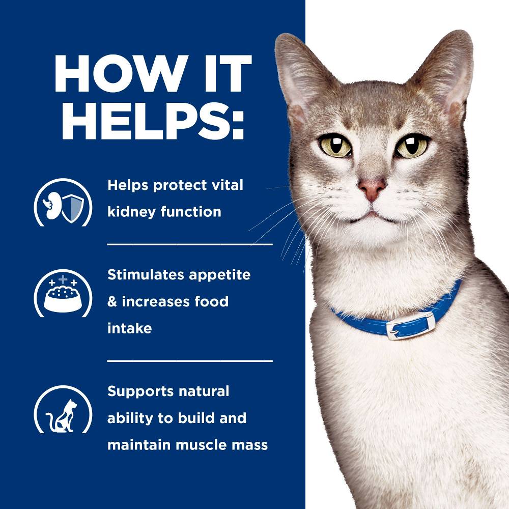 Hills Prescription Diet k/d Kidney Care Dry Cat Food