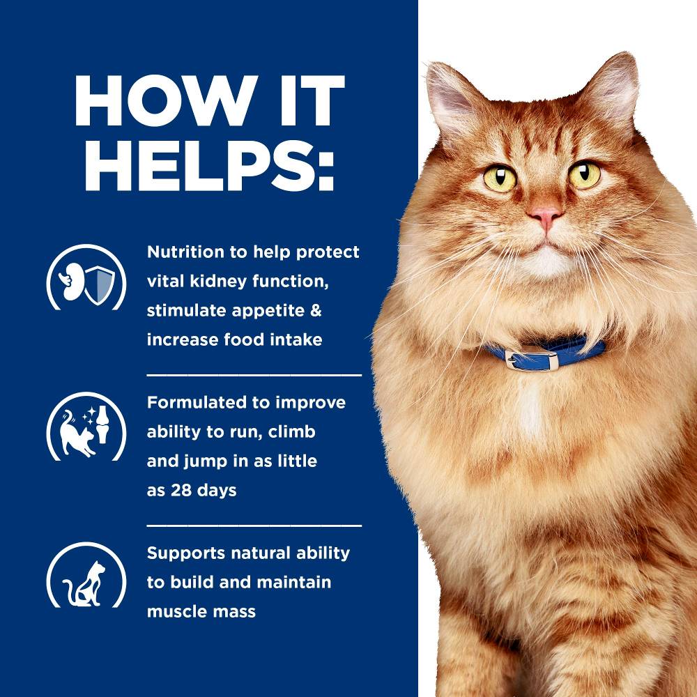 Hills Prescription Diet k/d Kidney Care Plus j/d Mobility Dry Cat Food