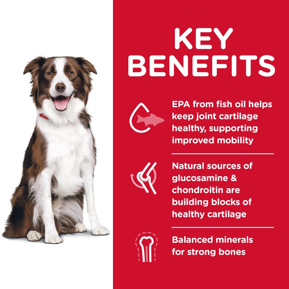 Hills Science Diet Adult Healthy Mobility Large Breed Dry Dog Food