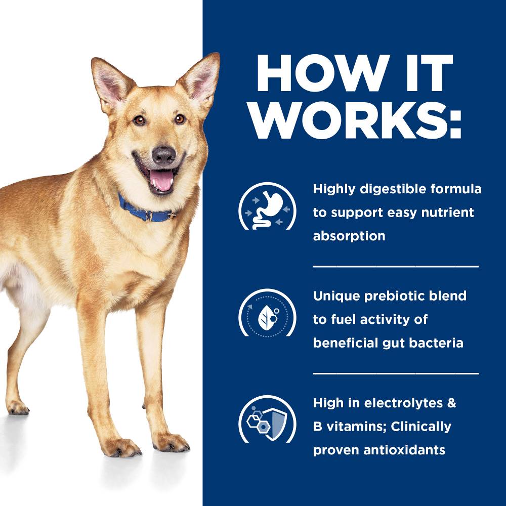 Hills Prescription Diet i/d Digestive Care Dry Dog Food