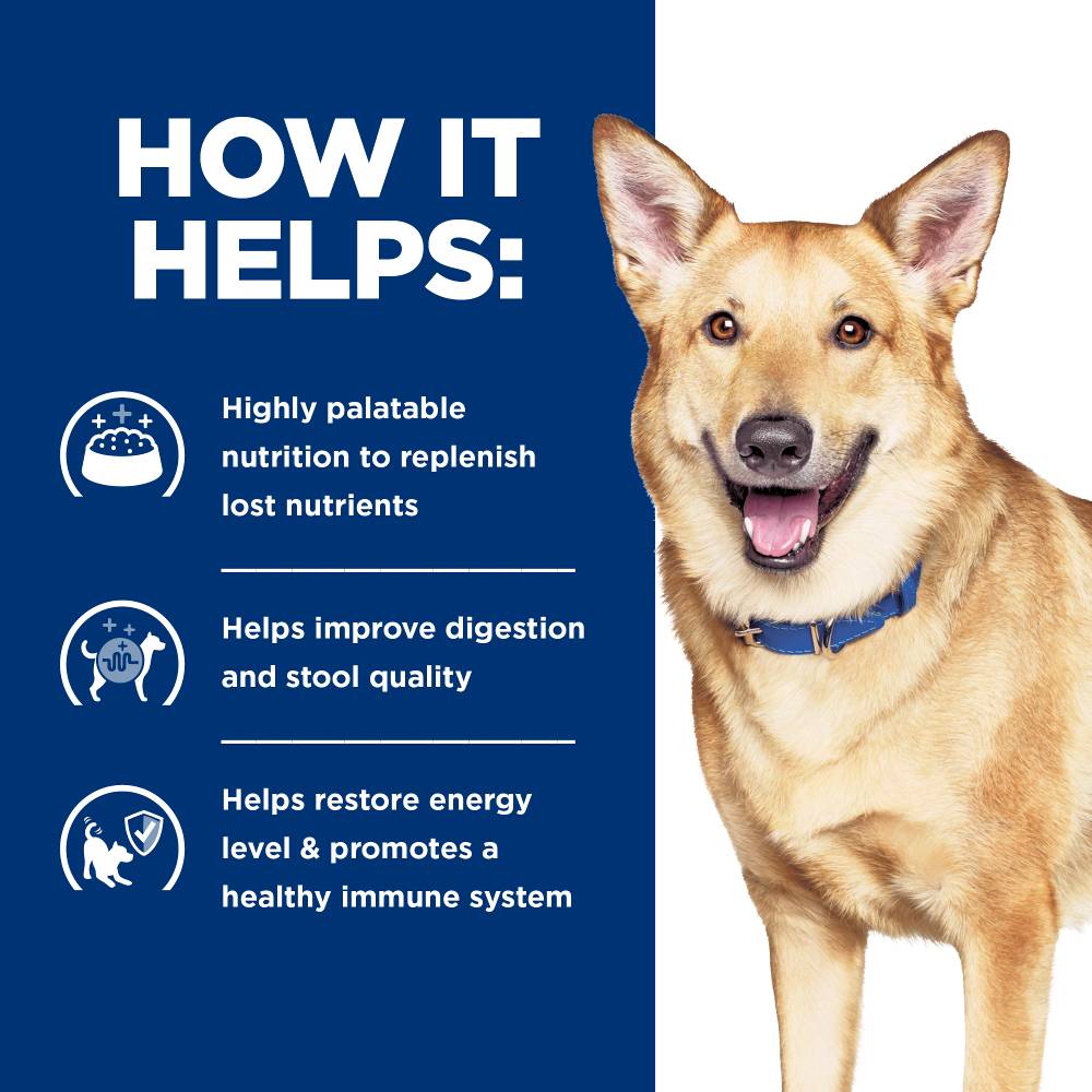 Hills Prescription Diet i/d Digestive Care Chicken Vegetable Stew Canned Dog Food