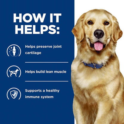 Hills Prescription Diet j/d Mobility Joint Care Dry Dog Food