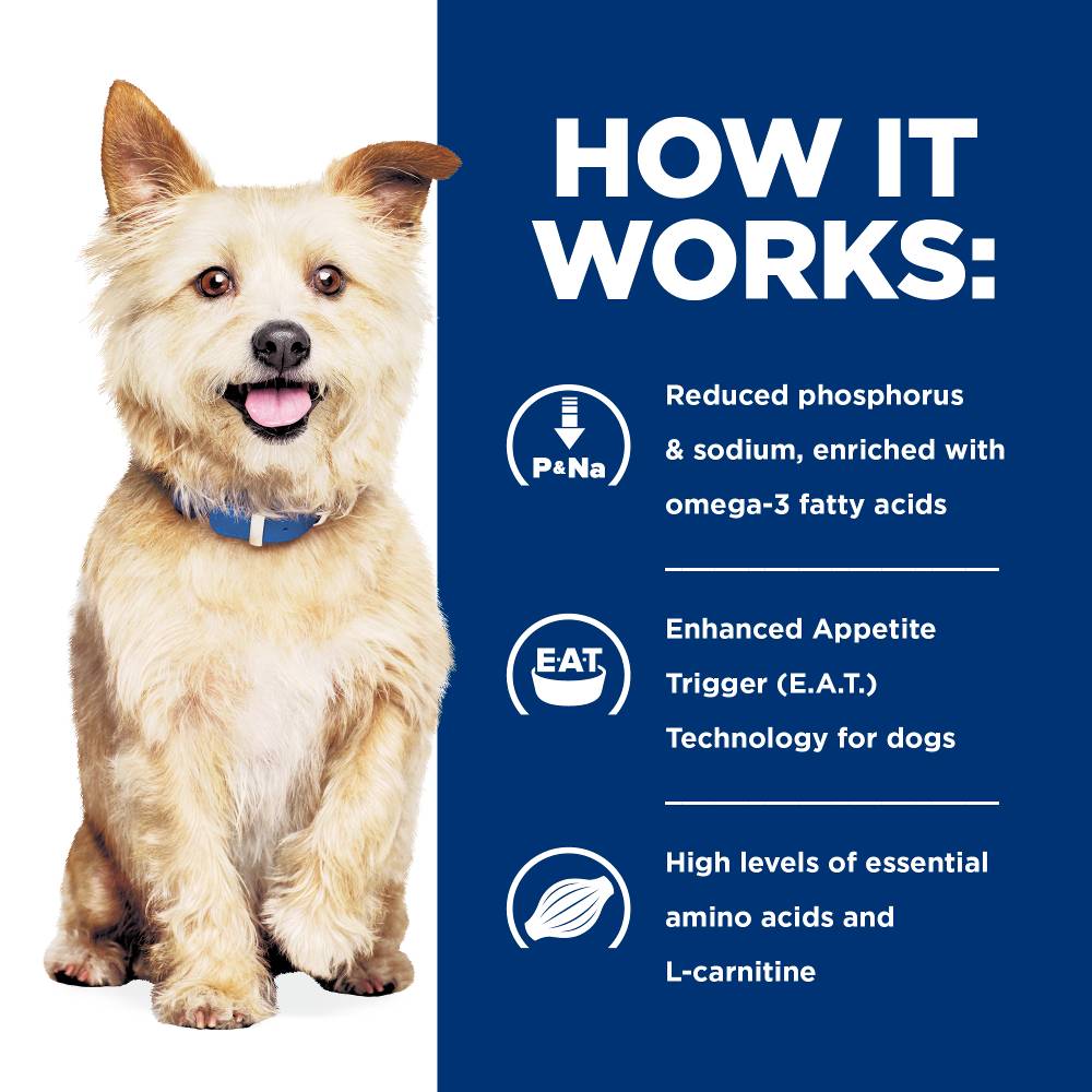Hills Prescription Diet k/d Kidney Care Dry Dog Food