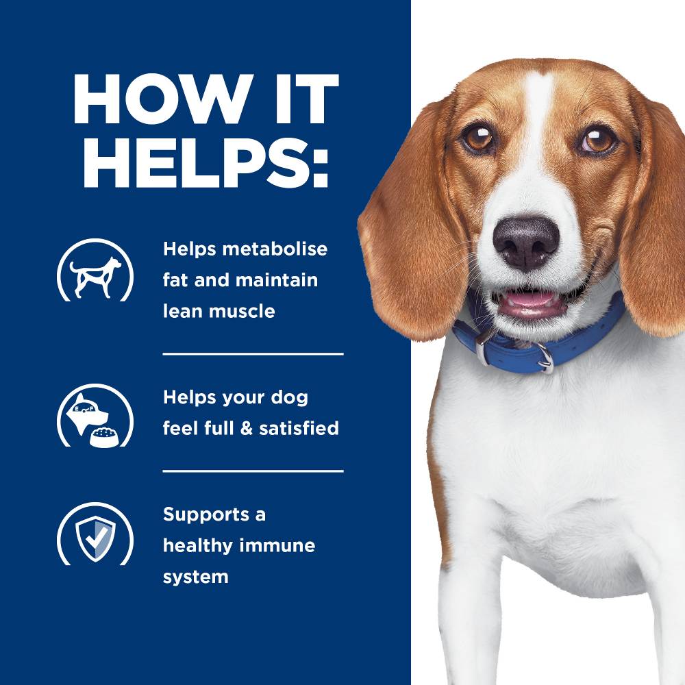 Hills Prescription Diet r/d Weight Loss Dry Dog Food
