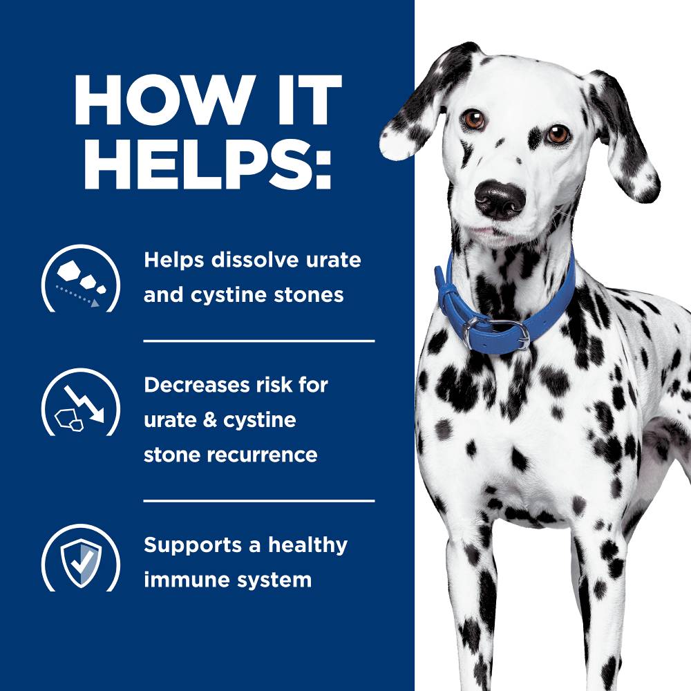 Hills Prescription Diet u/d Urinary Care Dry Dog Food