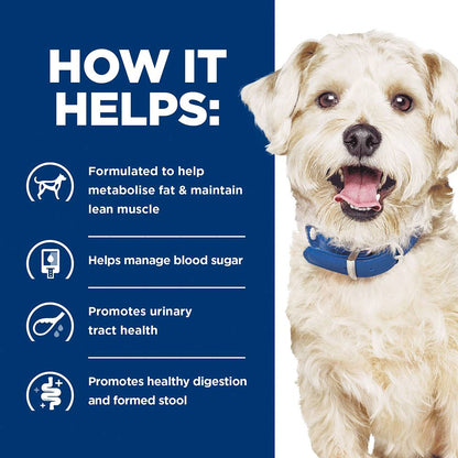 Hills Prescription Diet w/d Multi-Benefit Dry Dog Food