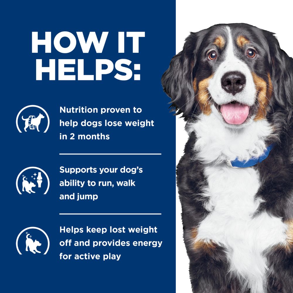 Hills Prescription Diet Metabolic +j/d Canned Dog Food