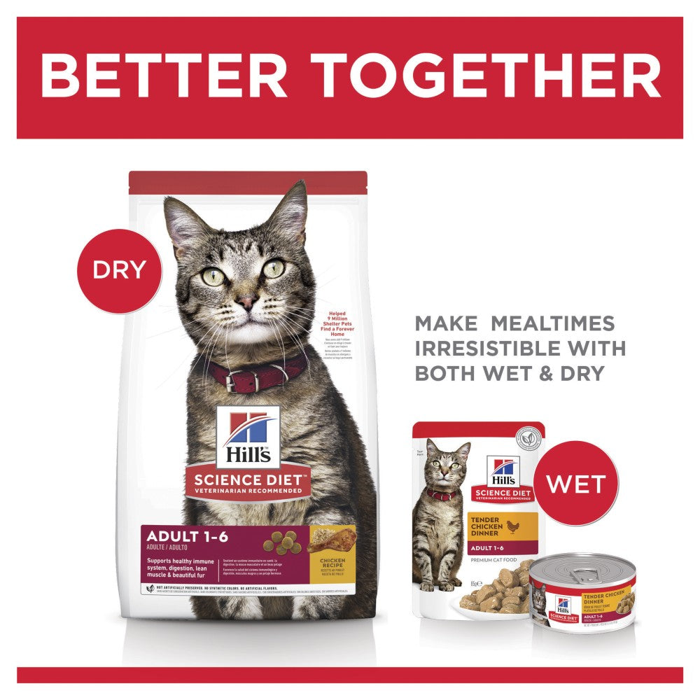 Hills Science Diet Adult Dry Cat Food