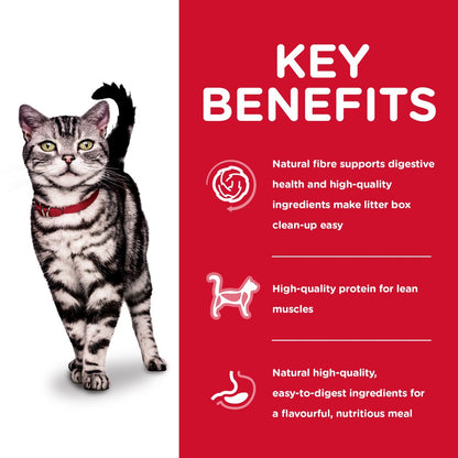 Hills Science Diet Adult Indoor Dry Cat Food