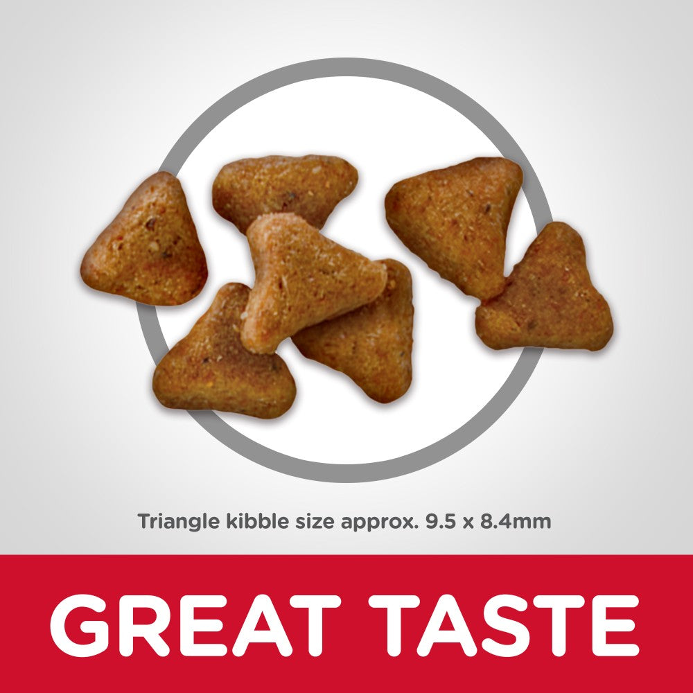 Hills Science Diet Adult Indoor Dry Cat Food