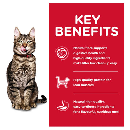Hills Science Diet Adult 7+ Indoor Dry Cat Food