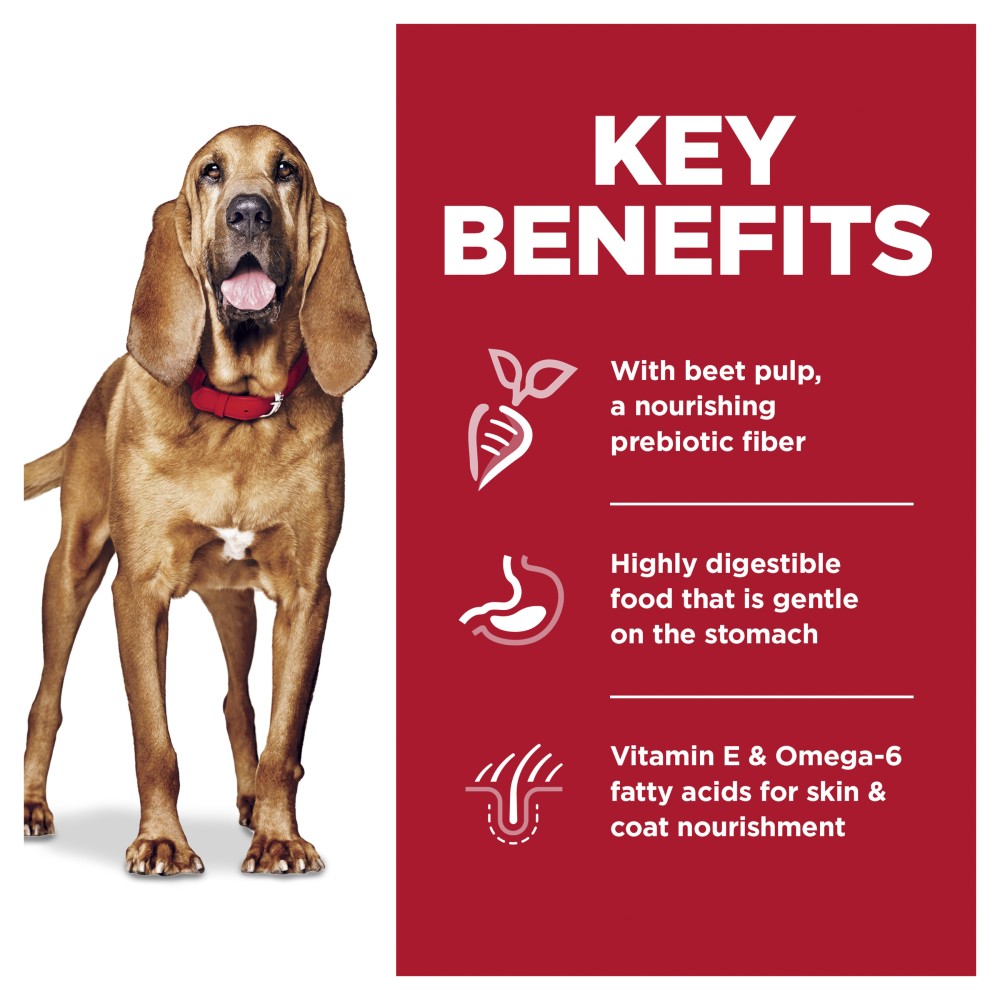 Hills Science Diet Adult Large Breed Sensitive Stomach and Skin Dry Dog Food