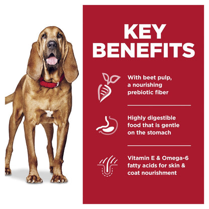 Hills Science Diet Adult Large Breed Sensitive Stomach and Skin Dry Dog Food